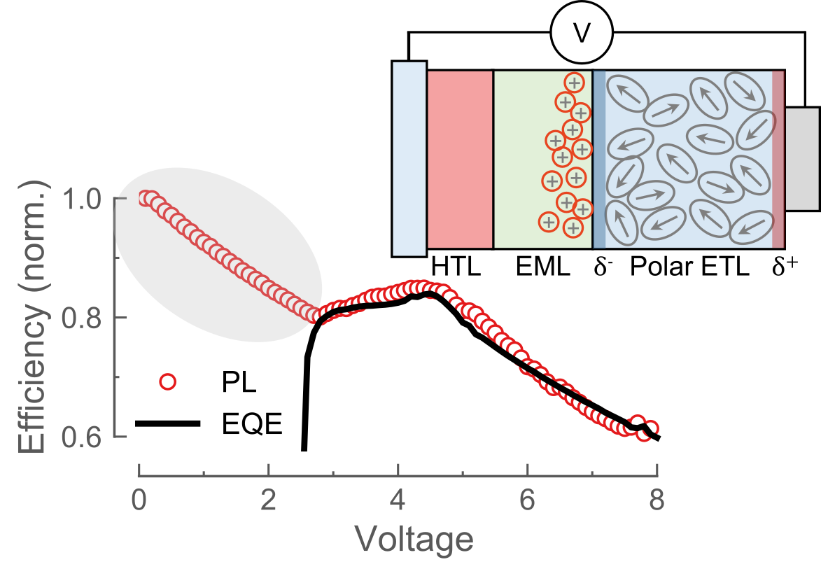 Subturnon Exciton Quenching Due to Molecular Orientation and